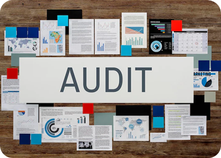 Reporting & Audit Support